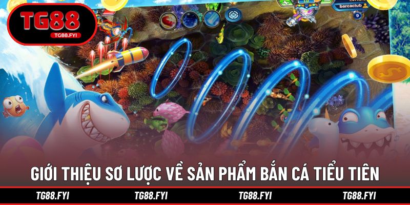 Giới thiệu sơ lược về sản phẩm bắn cá tiểu tiên cho newbie