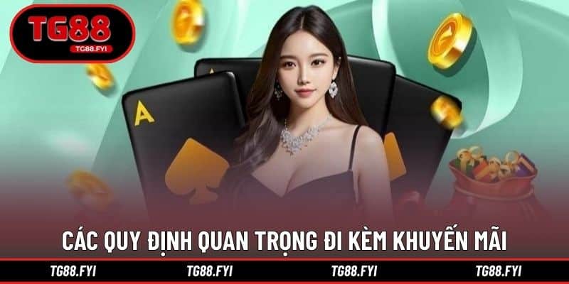 Các quy định quan trọng đi kèm khuyến mãi