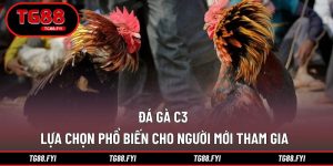 Đá gà C3