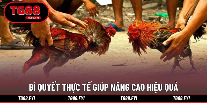 Bí quyết thực tế giúp nâng cao hiệu quả khi theo dõi thi đấu