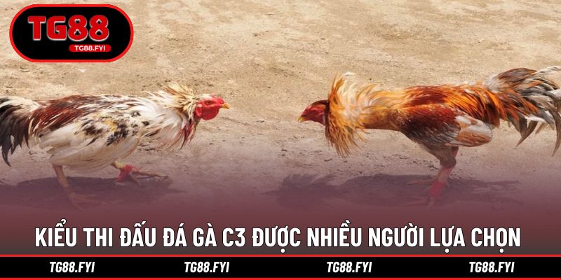 Các kiểu thi đấu đá gà C3 được nhiều người lựa chọn 
