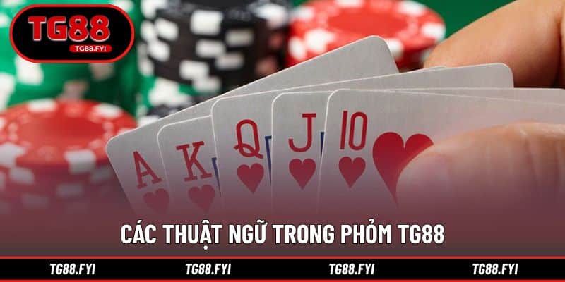Những khái niệm thường gặp khi tham gia phỏm