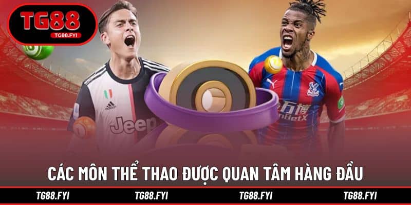 Các bộ môn đấu được quan tâm đứng đầu hiện nay